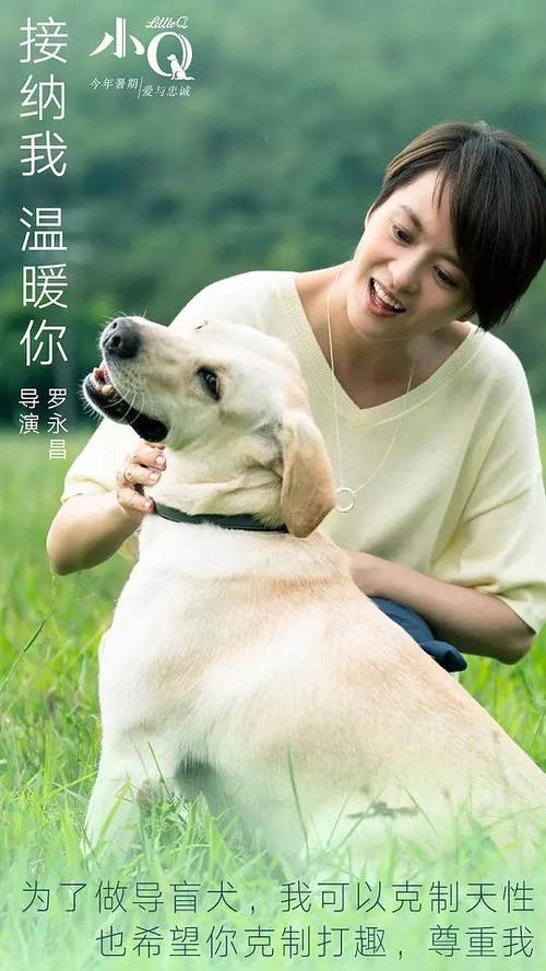 卡尔斯鲁厄国立设计学院理工科文凭证书